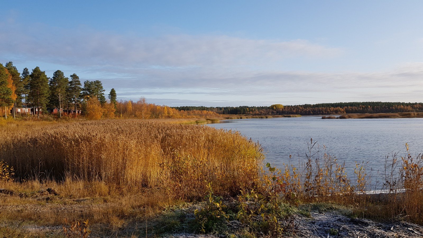 Töre Camping (Törehamn)